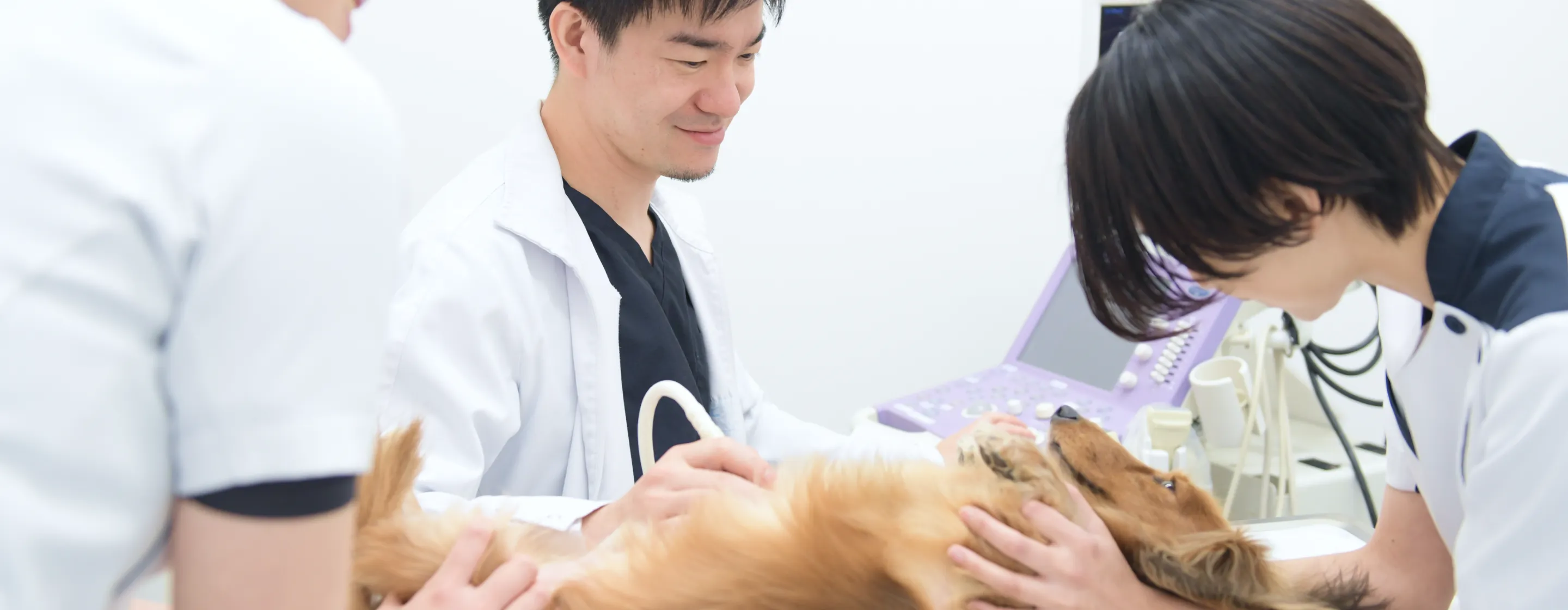 ALL動物病院