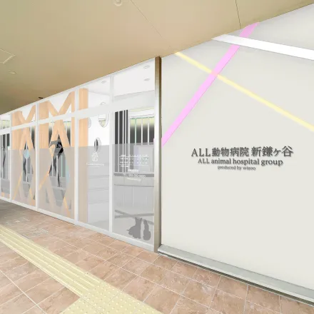 ALL動物病院 新鎌ケ谷