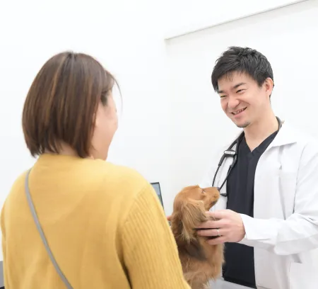 ALL動物病院