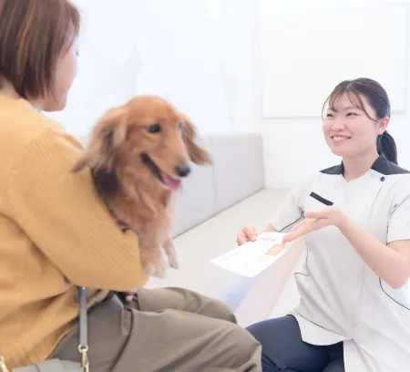 ALL動物病院