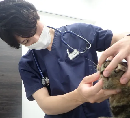 ALL動物病院