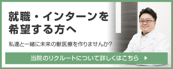 就職・インターンを希望する方へ