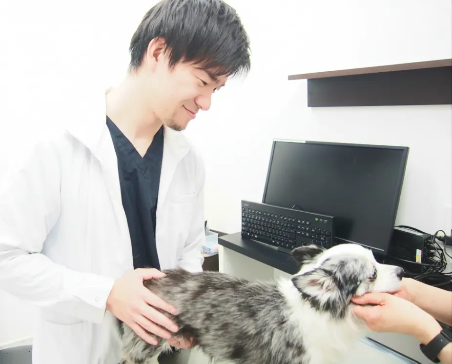 ALL動物病院