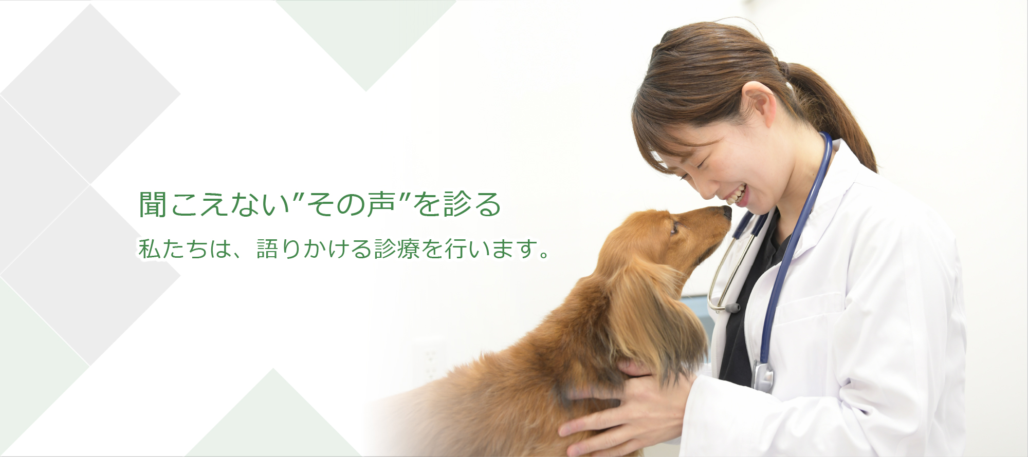 聞こえない「その声」を診る。私たちは語りかける診療を行います