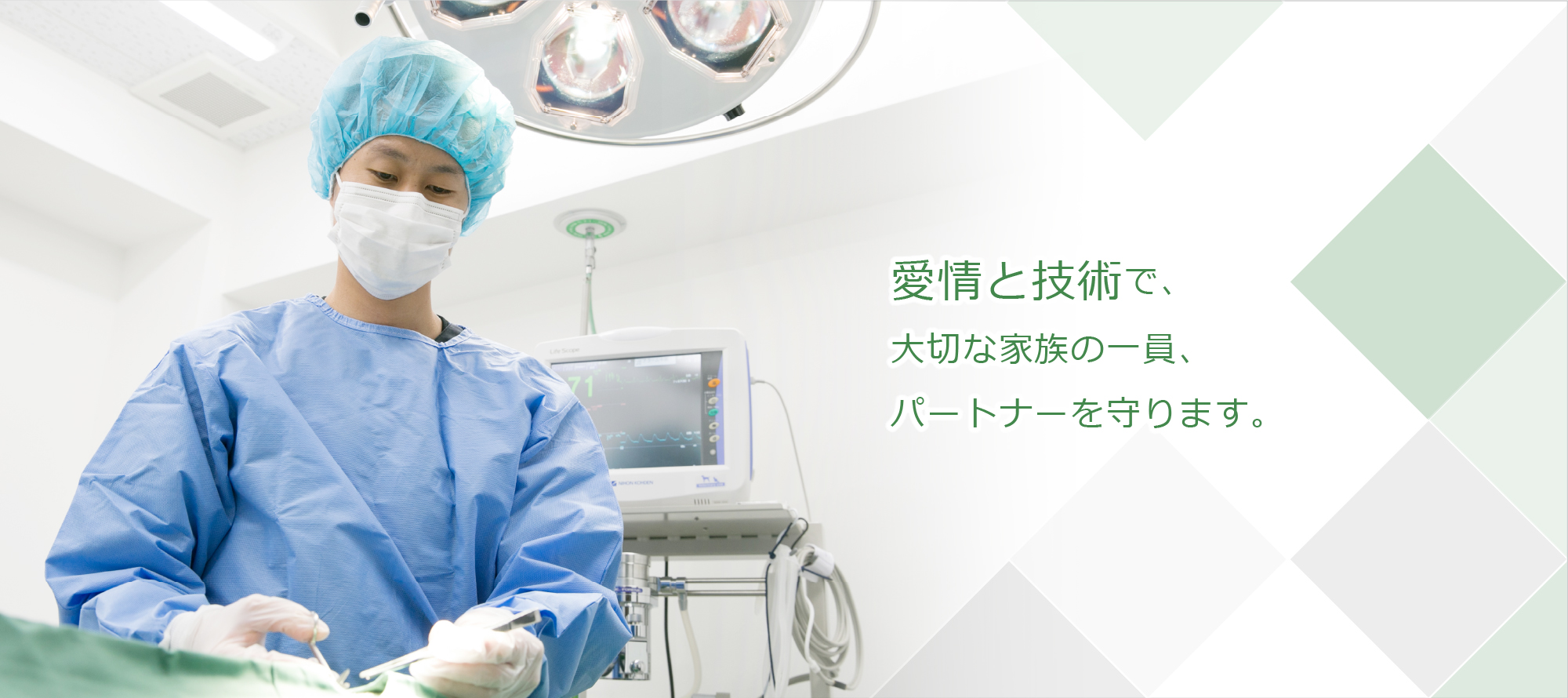 愛情と技術で、大切な家族の一員、パートナーを守ります