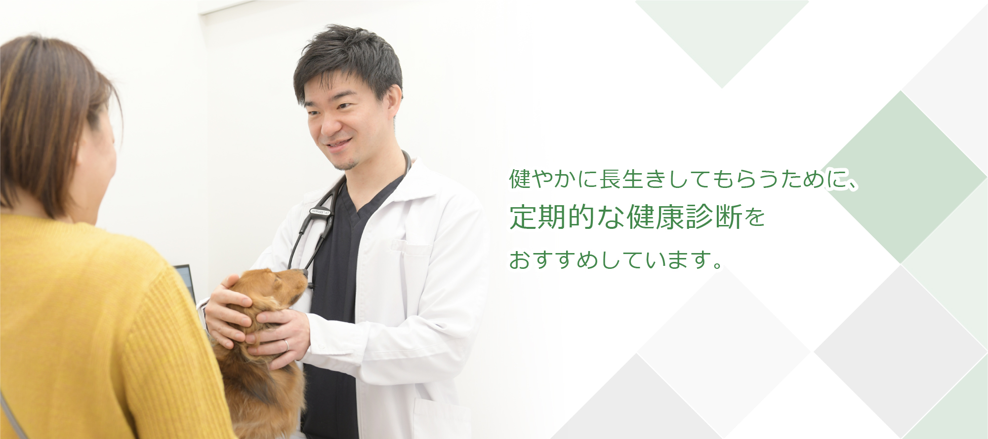 健やかに長生きしてもらうために、定期的な健康診断をおすすめしています