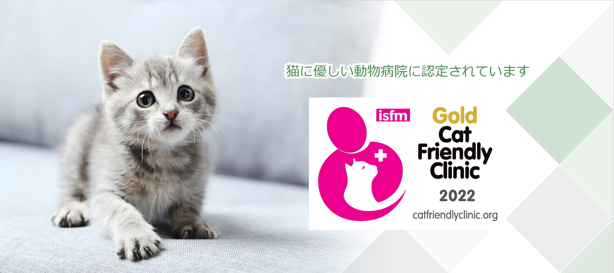 猫に優しい動物病院に認定されています