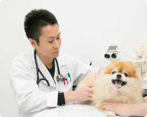 ALL動物病院