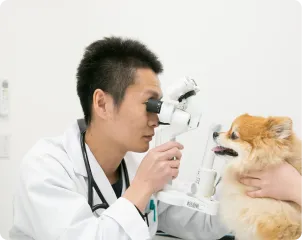 ALL動物病院