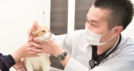 ALL動物病院