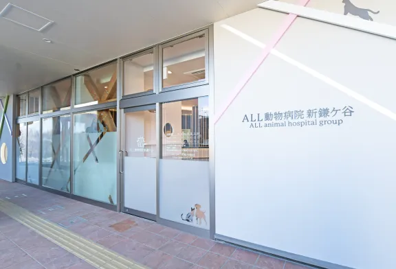 ALL動物病院