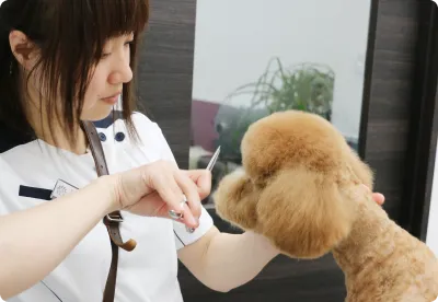 ALL動物病院