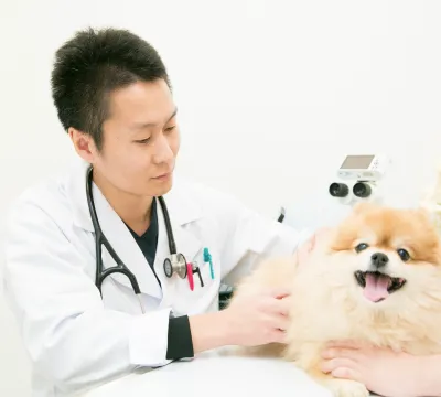ALL動物病院