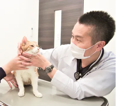 ALL動物病院