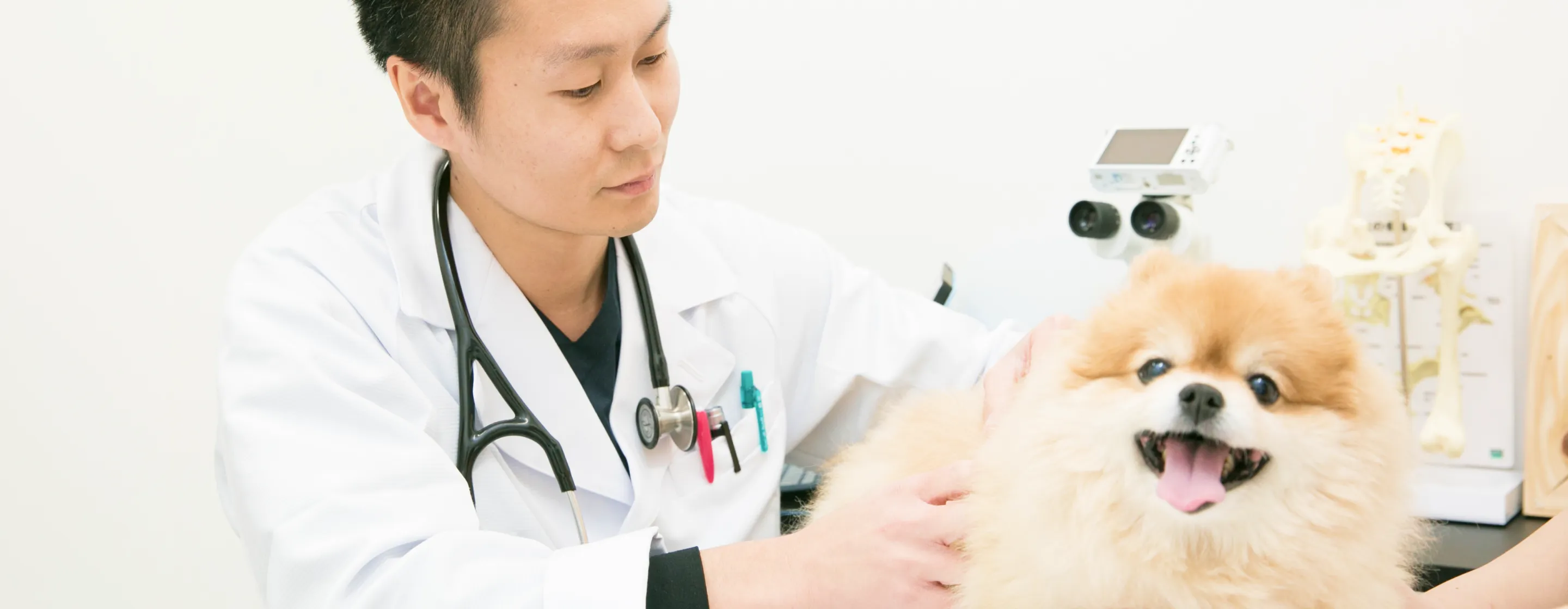 ALL動物病院