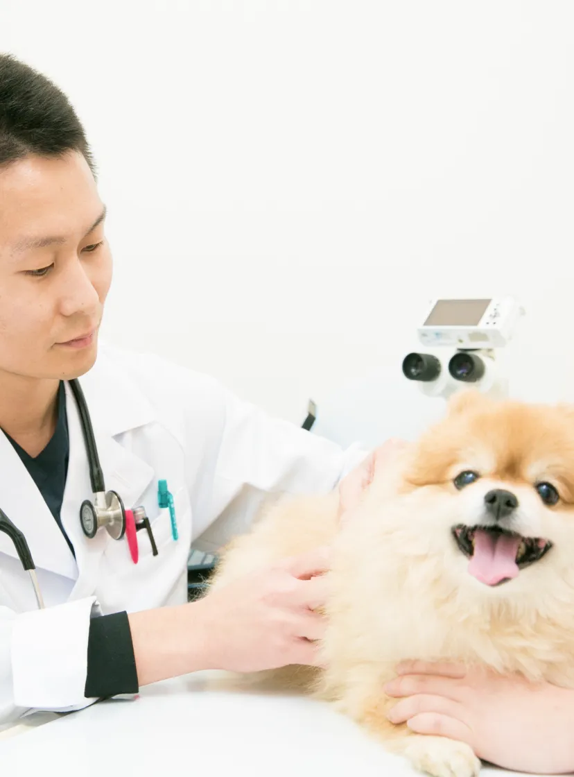 ALL動物病院
