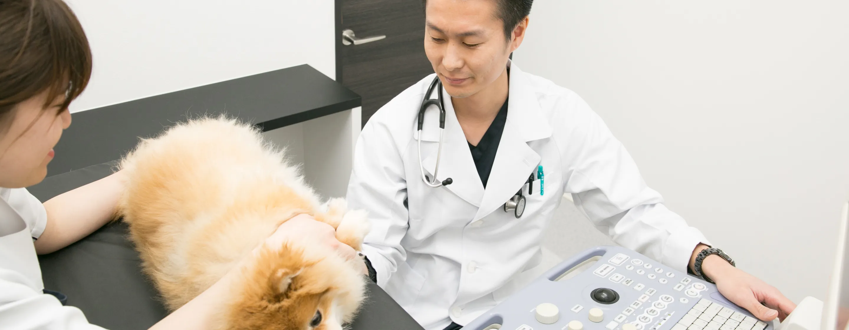 ALL動物病院