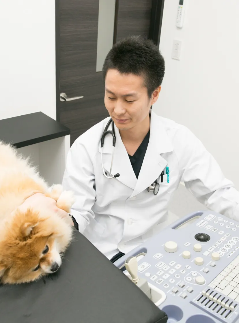 ALL動物病院