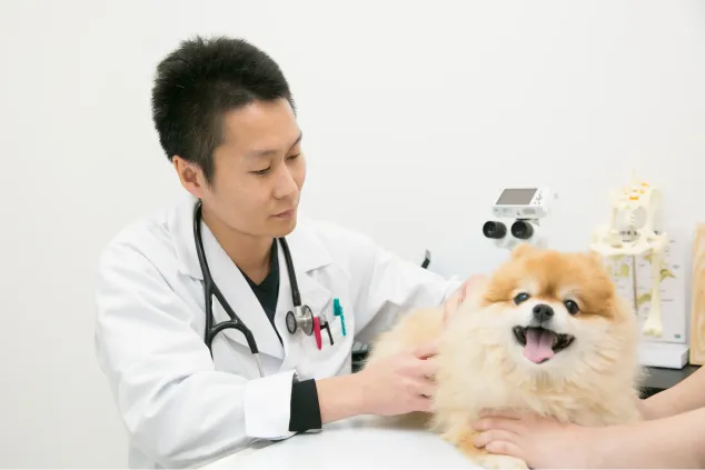 ALL動物病院