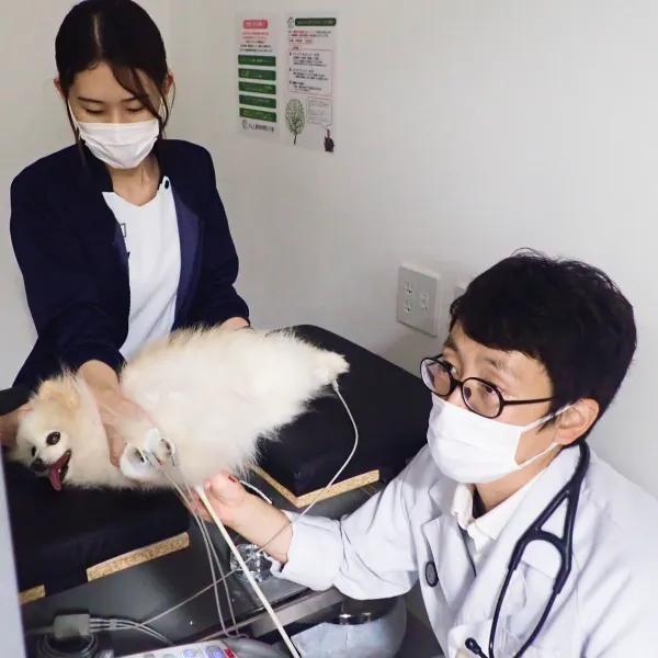 ALL動物病院