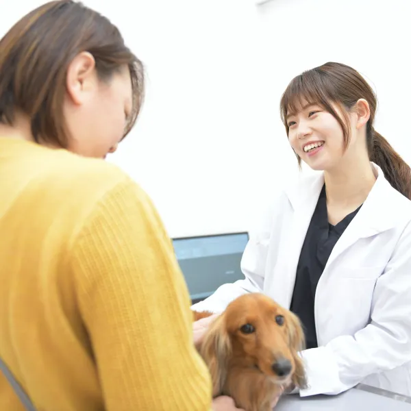 ALL動物病院