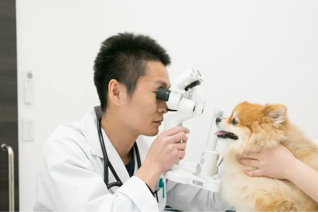 ALL動物病院