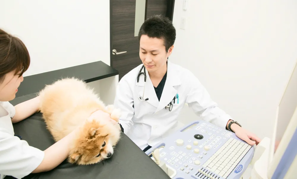 循環器科