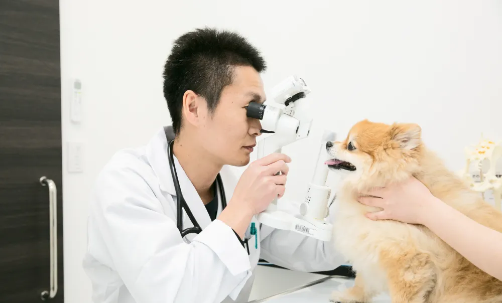 眼科