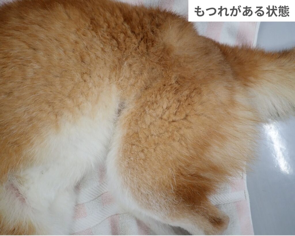 犬 の 毛