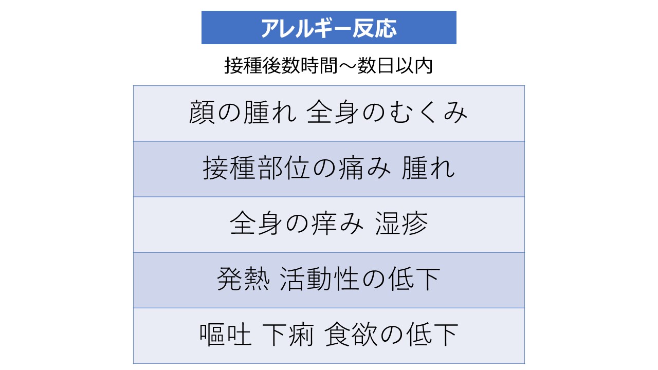 ワクチンの副反応を正しく知ろう 市川市 浦安市の動物病院 All動物病院行徳 皮膚科 眼科