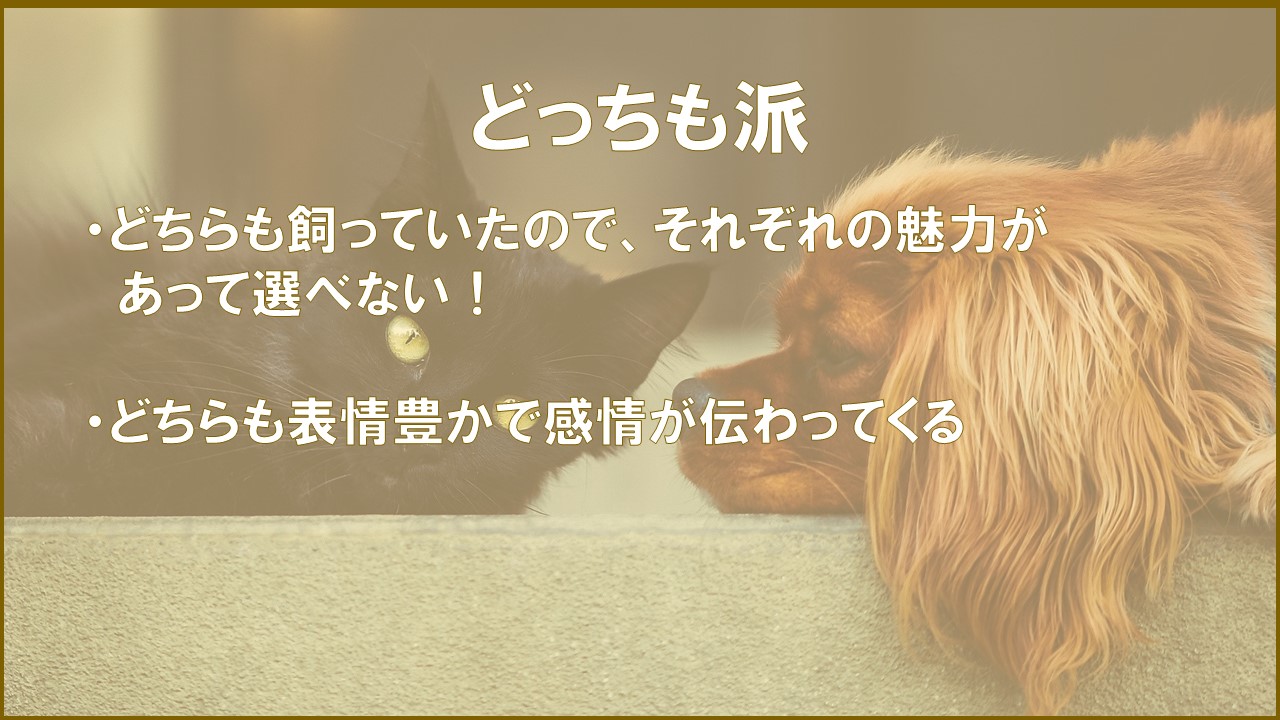 スタッフに聞いてみた！犬派u2048猫派u2048  市川市・浦安市の動物病院『ALL 