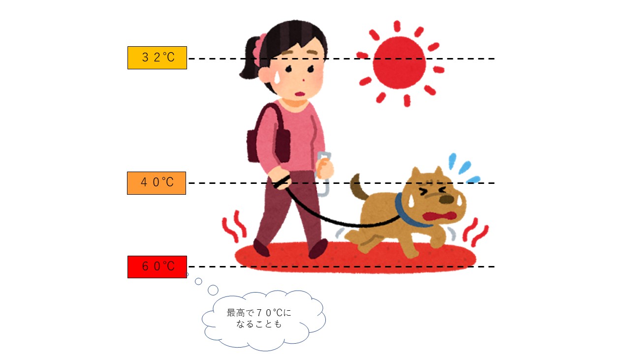 人と同じ？犬や猫の熱中症の見分け方と予防法をご紹介します！ | 市川市・鎌ケ谷市の動物病院『ALL動物病院グループ』皮膚科/腫瘍科