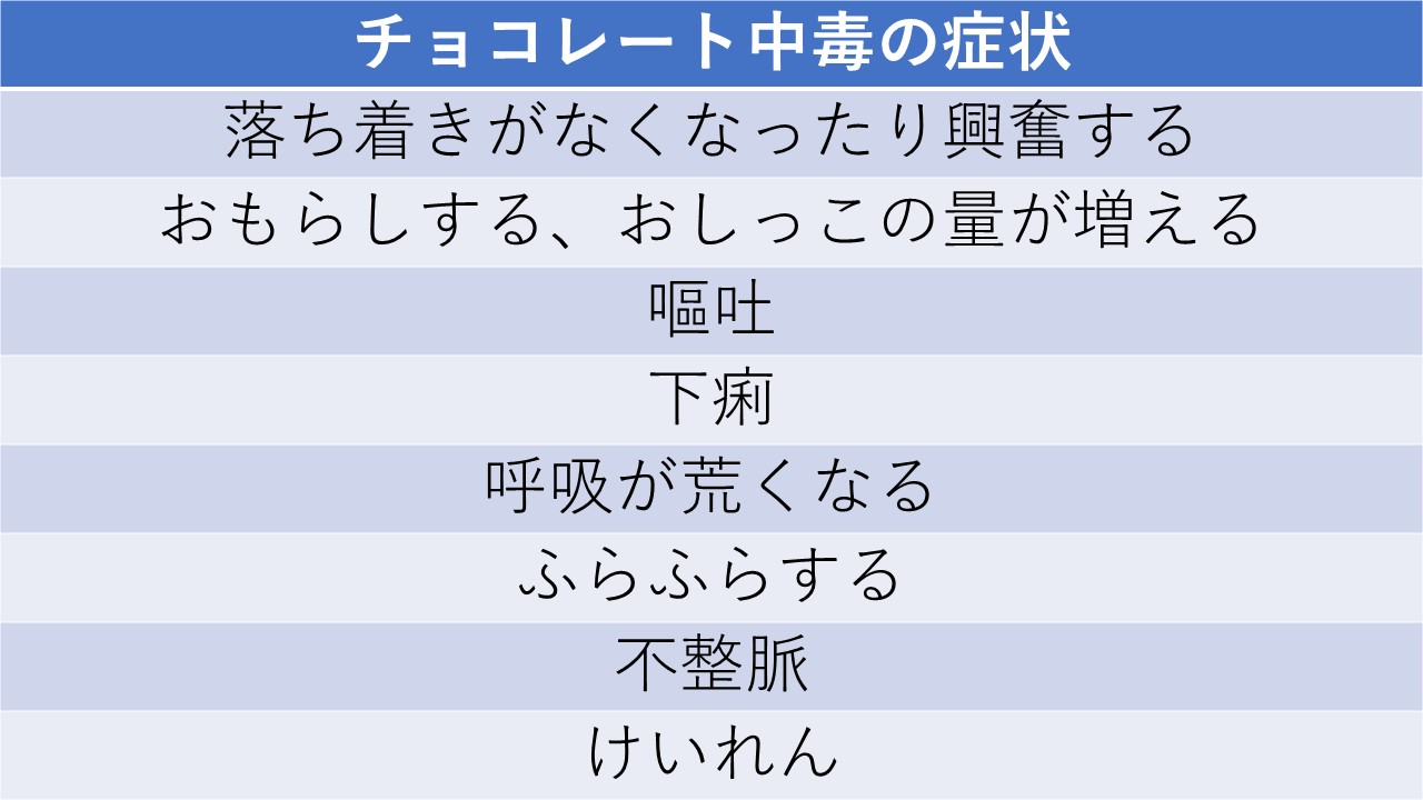 甘くておいしいチョコレートが実は危険 チョコレート中毒 市川市 浦安市の動物病院 All動物病院行徳 皮膚科 眼科