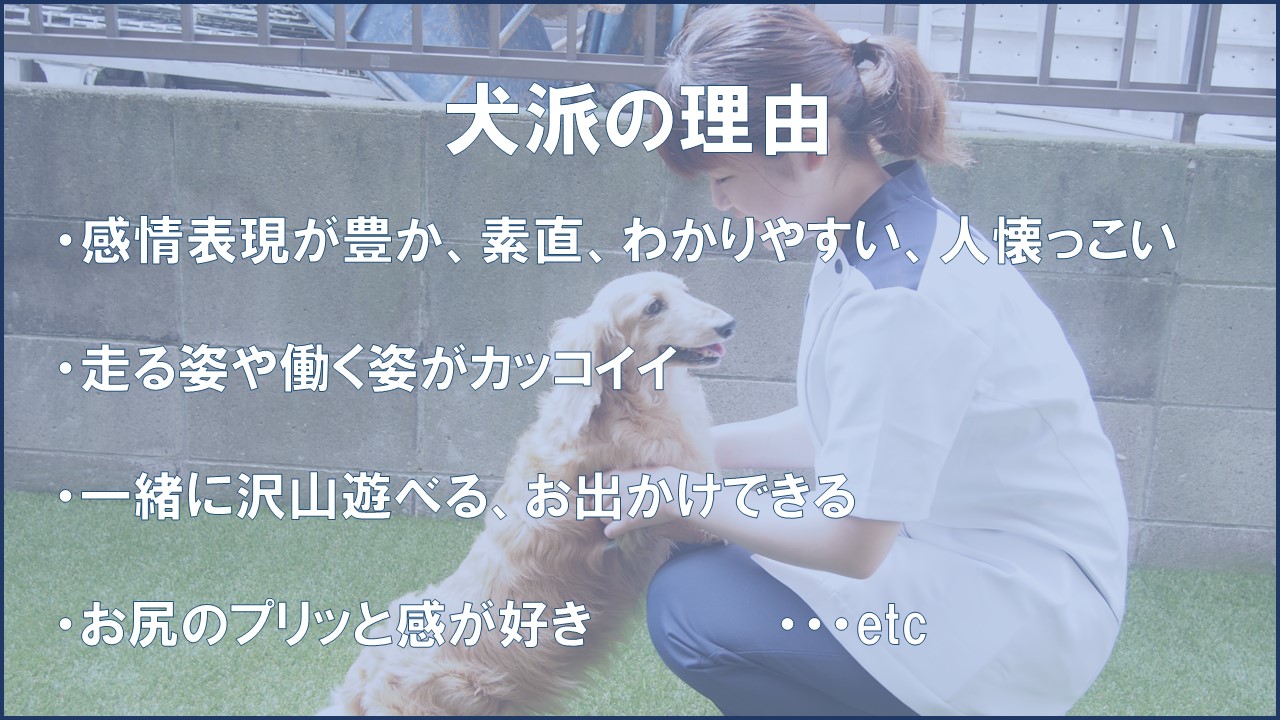 スタッフに聞いてみた 犬派 猫派 市川市 浦安市の動物病院 All動物病院行徳 皮膚科 眼科 スタッフに聞いてみた 犬派 猫派 市川市 浦安市の動物病院 All動物病院行徳 皮膚科 眼科