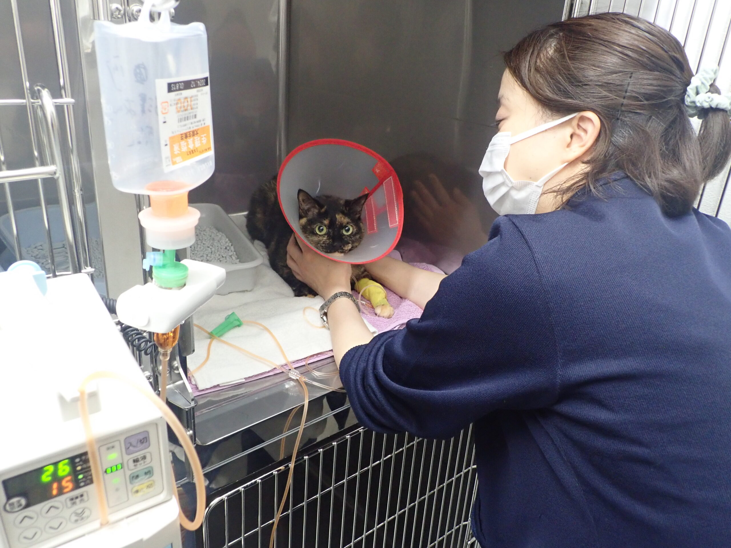 抗ガン剤治療を勧められた 怖いけどどうしよう？  市川市・浦安市の 