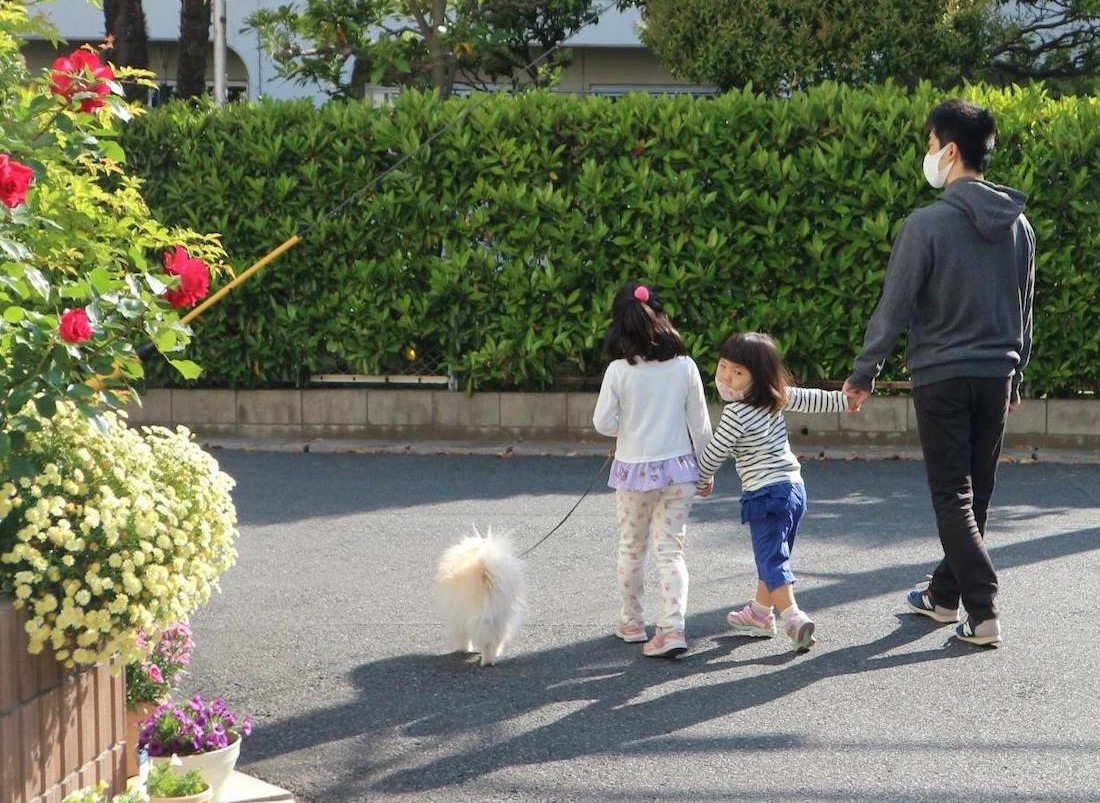 赤ちゃんがいるお家での犬と猫の暮らし方 市川市 浦安市の動物病院 All動物病院行徳 皮膚科 眼科