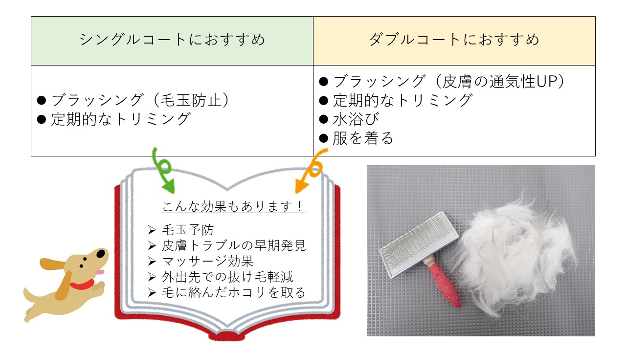永遠のお悩み 抜け毛対策 どうしていますか 市川市 浦安市の動物病院 All動物病院行徳 皮膚科 眼科