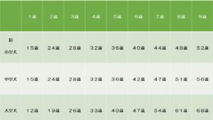 うちのコ 実はもうおばあちゃん 人間と犬猫の年齢の違いについて解説します 市川市 浦安市の動物病院 All動物病院行徳 皮膚科 眼科