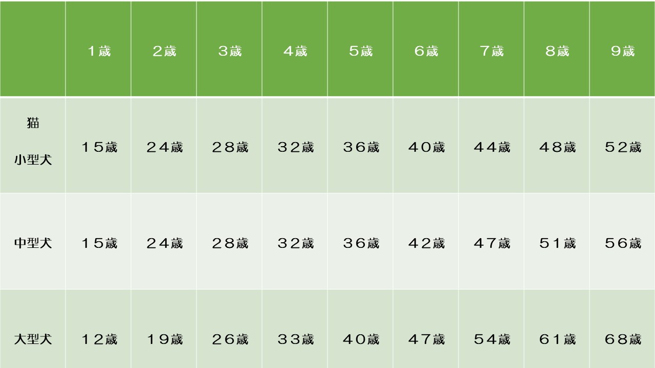 猫 8 歳 人間 年齢