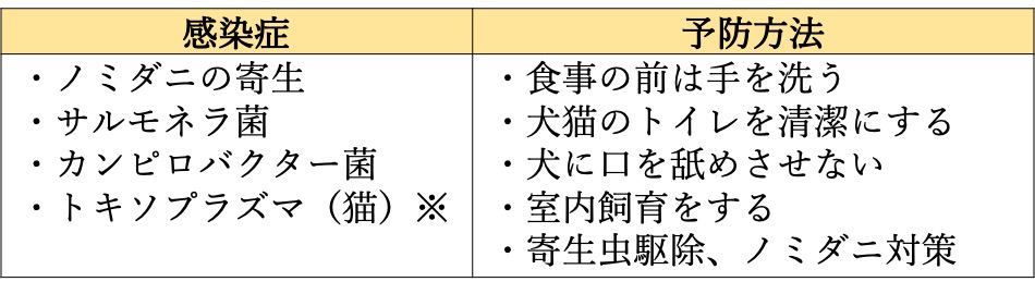 赤ちゃんがいるお家での犬と猫の暮らし方 市川市 浦安市の動物病院 All動物病院行徳 皮膚科 眼科