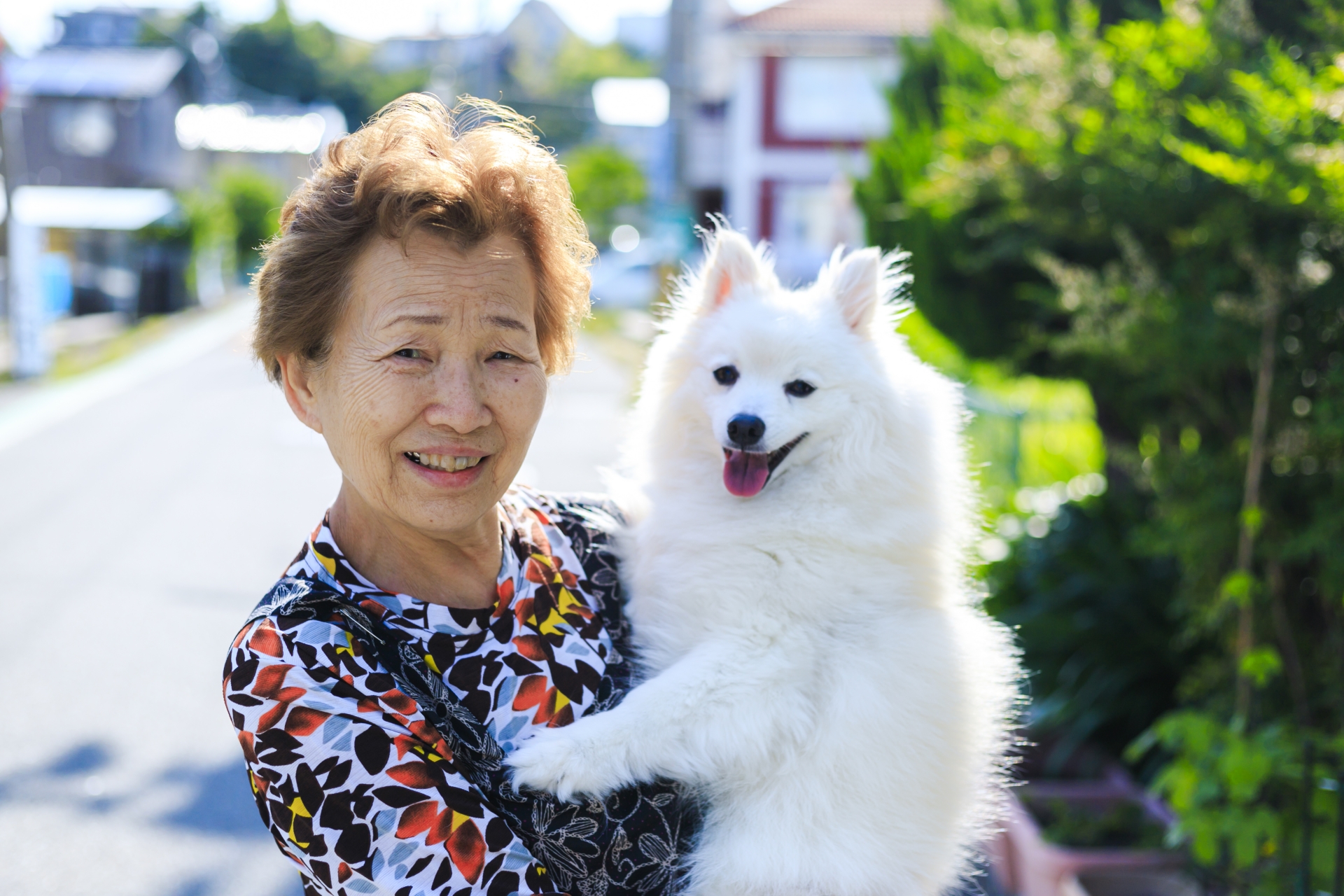 うちのコ 実はもうおばあちゃん 人間と犬猫の年齢の違いについて解説します 市川市 浦安市の動物病院 All動物病院行徳 皮膚科 眼科