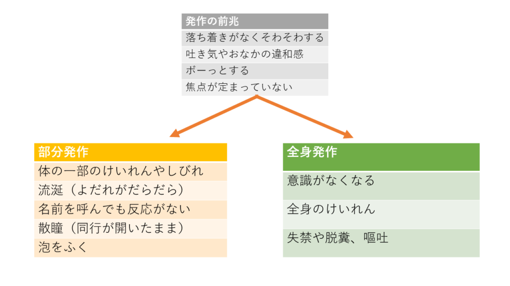 犬や猫にもてんかんがあることはご存じでしょうか?てんかん発作について解説します。