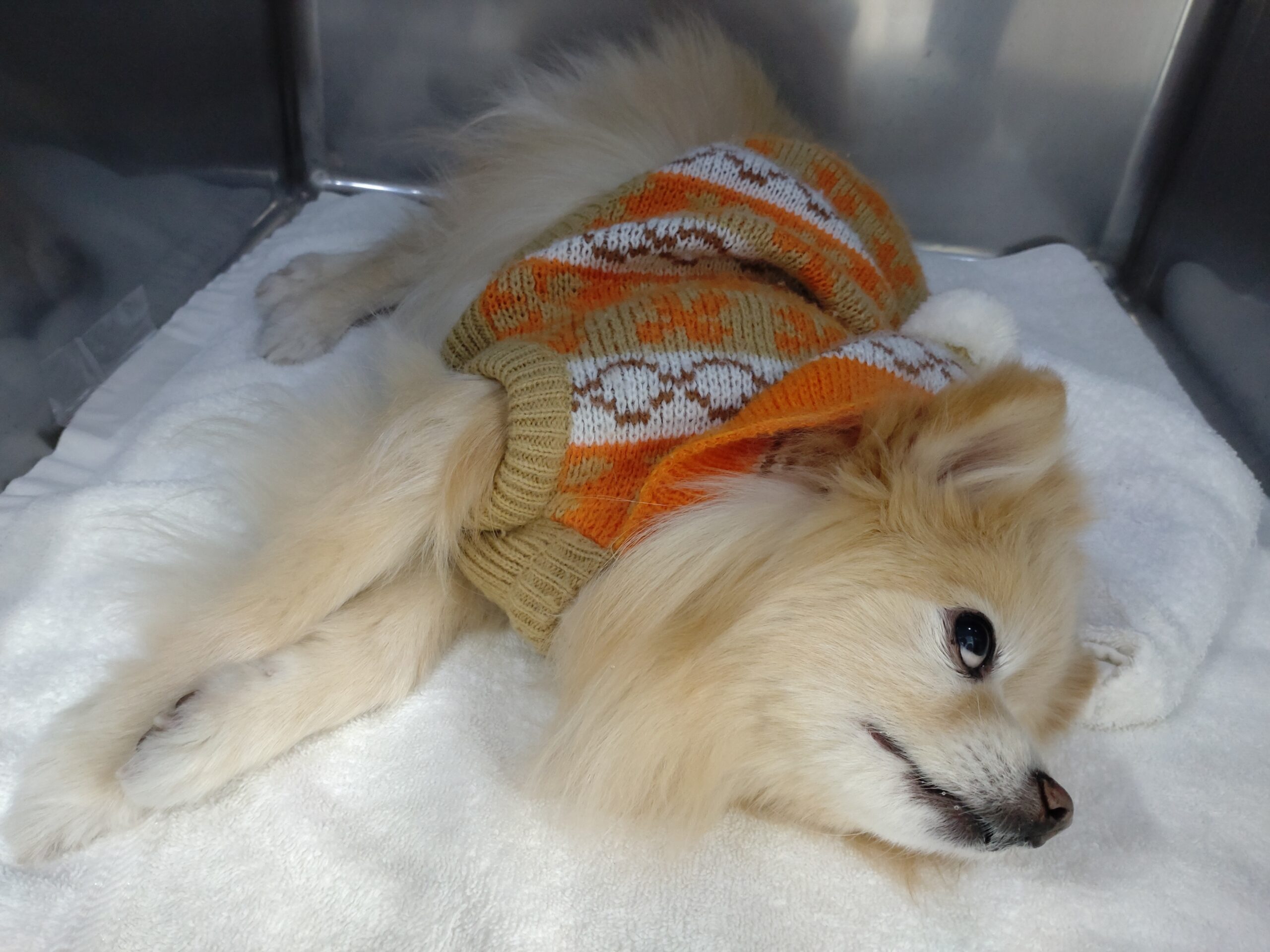 安全な代替品はありますか?