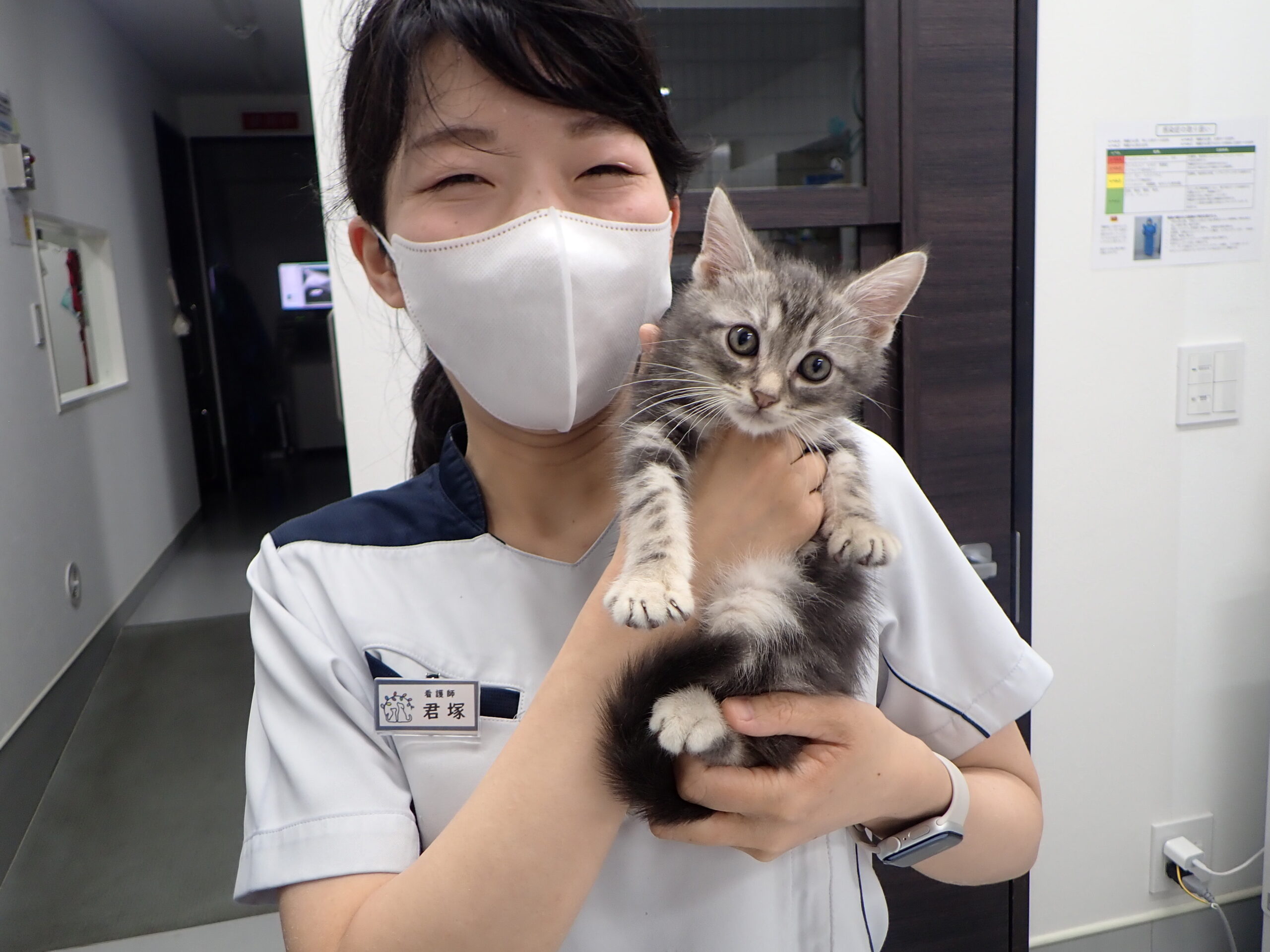 猫のスペシャリスト CATvocate認定を取得しました | 市川市・浦安市の 