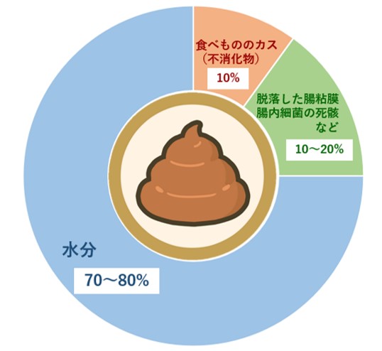犬や猫が食べたものってどのようにして便になるのかな?