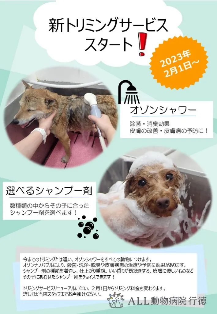料金改定表の画像