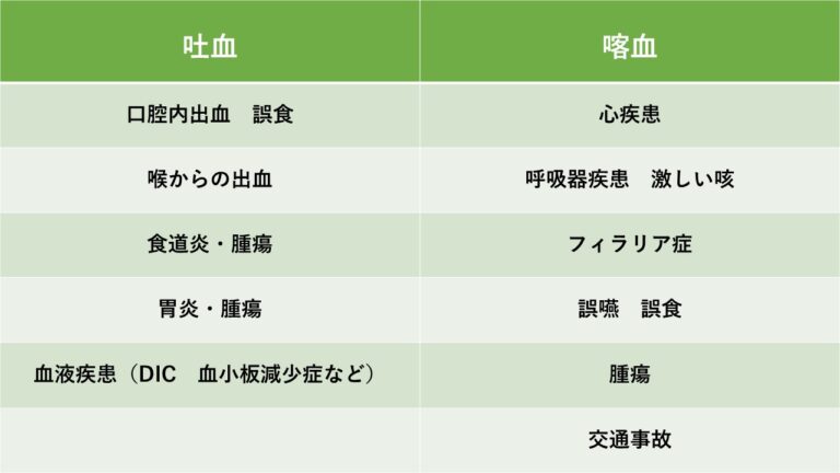 犬や猫が血を吐いた! ~“吐血”と“喀血”の違い~