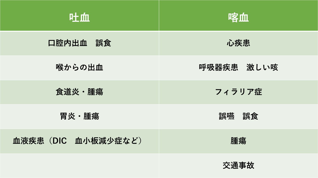 犬や猫が血を吐いた! ~“吐血”と“喀血”の違い~ | 市川市・鎌ケ谷市の動物病院『ALL動物病院グループ』皮膚科/腫瘍科