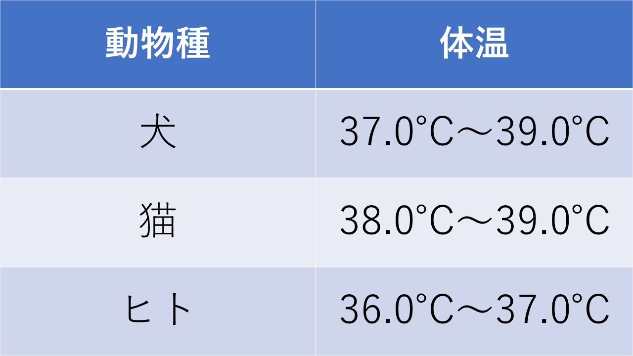 猫の体温:正常値と測り方、平熱より高い/低い場合 7 %E4%BD%93%E6%B8%A9%E8%A1%A8