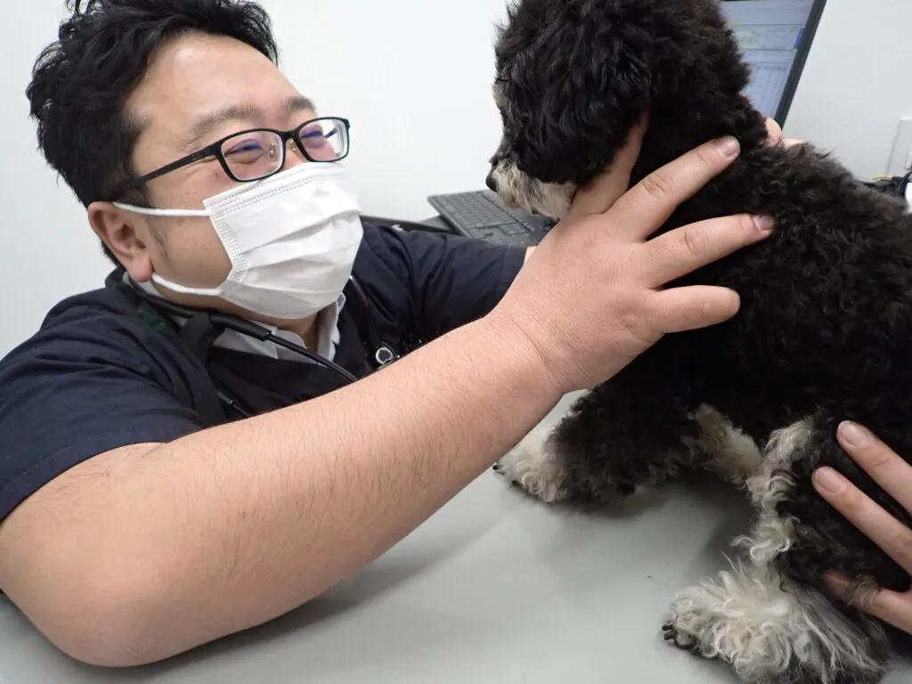 〈獣医学〉  犬と猫の泌尿器疾患 犬と猫の泌尿器疾患: 検査・診断・治療のすべて | ピーター・E
